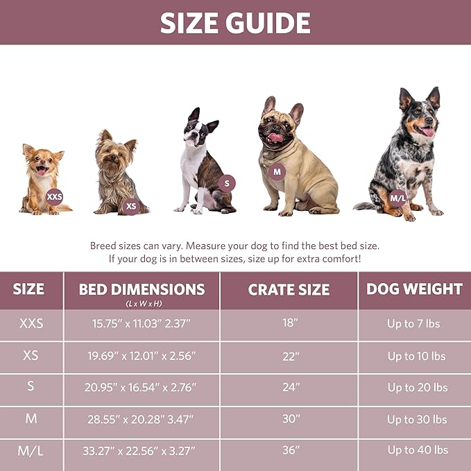 MidWest Homes for Pets Bolster Dog Bed 18L-Inch Pink Dog Bed or Cat Bed w/Comfortable Bolster | Ideal for Toy Dog Breeds & Fits an 18-Inch Dog Crate | Easy Maintenance Machine Wash & Dry