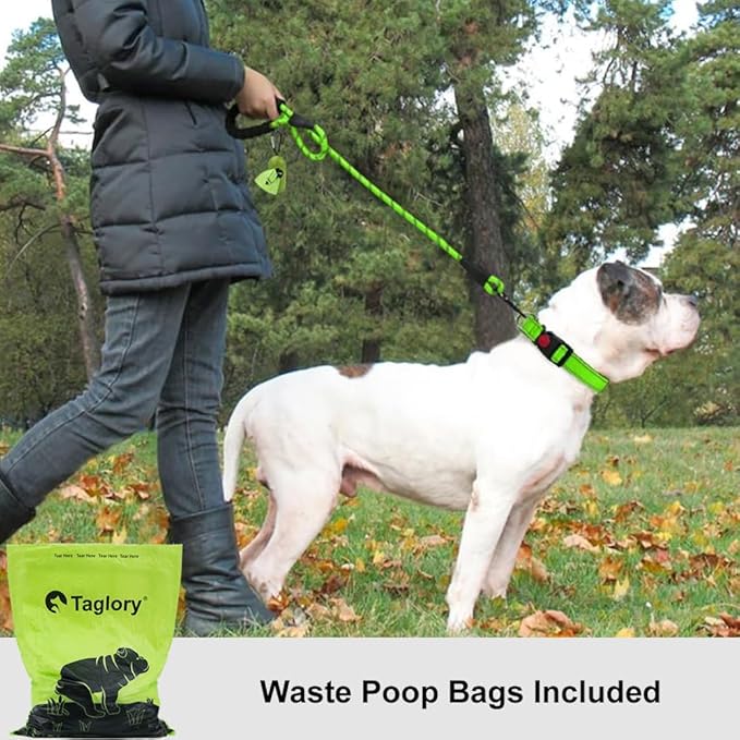Taglory Rope Dog Leash 6 FT with Comfortable Padded Handle, Highly Reflective Threads Leash for Medium Large Dogs, 1/2 inch, Green