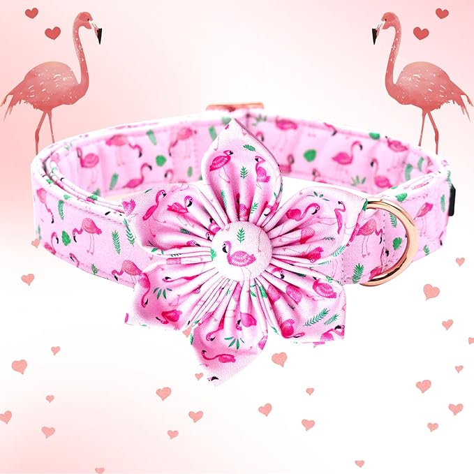 Lionheart Glory Valentine's Day Collar with Flower - Pink Collar with Bowtie for Medium Dogs
