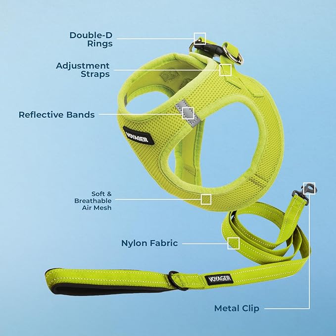 Voyager Step-in Air All Weather Mesh Harness and Reflective Dog 5 ft Leash Combo with Neoprene Handle, for Small, Medium and Large Breed Puppies by Best Pet Supplies - Set (Lime Green), L