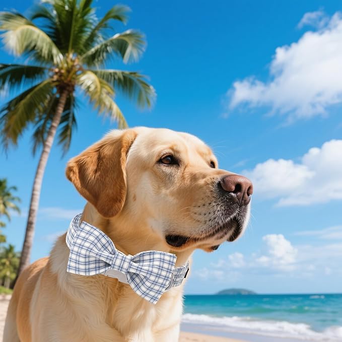 Unique style paws Cotton Dog Collar with Bow Spring Summer Collar with Blue White Grid for Small Medium Large Boys Girls Dogs
