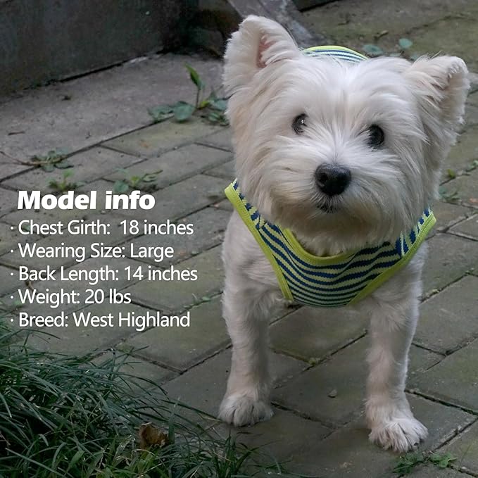 KYEESE 2Pack Dog Shirts Striped for Small Dogs Soft Stretchy T-Shirts Lightweight Tank Top Sleeveless Vest Breathable Cat Shirt, Medium, Orange+Green