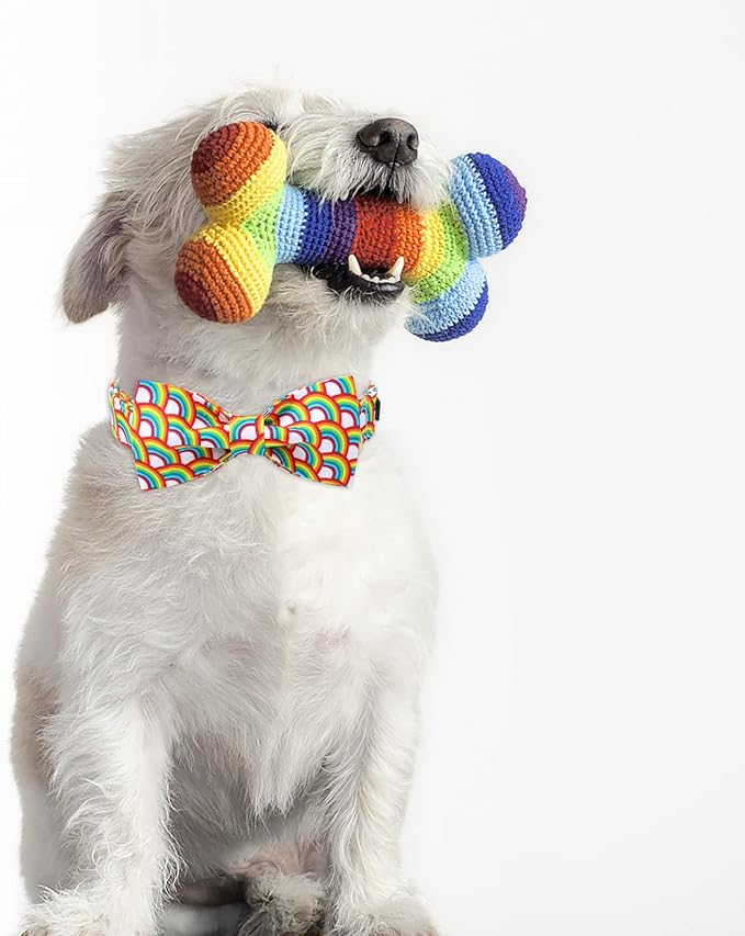 Lionet Paws Rainbow Dog Collar with Bowtie, Soft and Comfortable Adjustable LGBT Pride Bowtie Collar for X-Large Dogs Male Female Gift, Neck 16-26 inches
