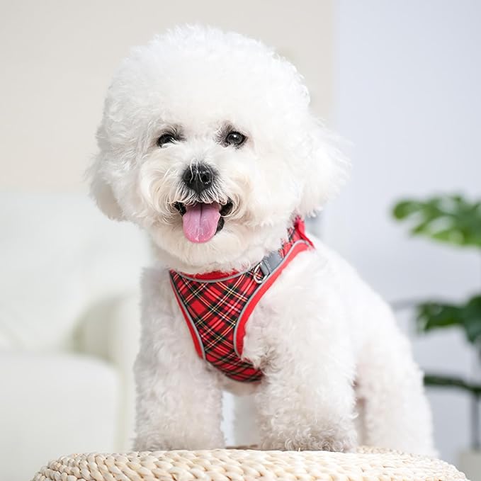 No Pull Dog Harness and Leash Set for Extra-Small Dogs Puppy Cats Ajustable Classic Plaid Dog Vest Harness Soft Mesh Reflective Step-in Harness Escape Proof for Walking Red XS