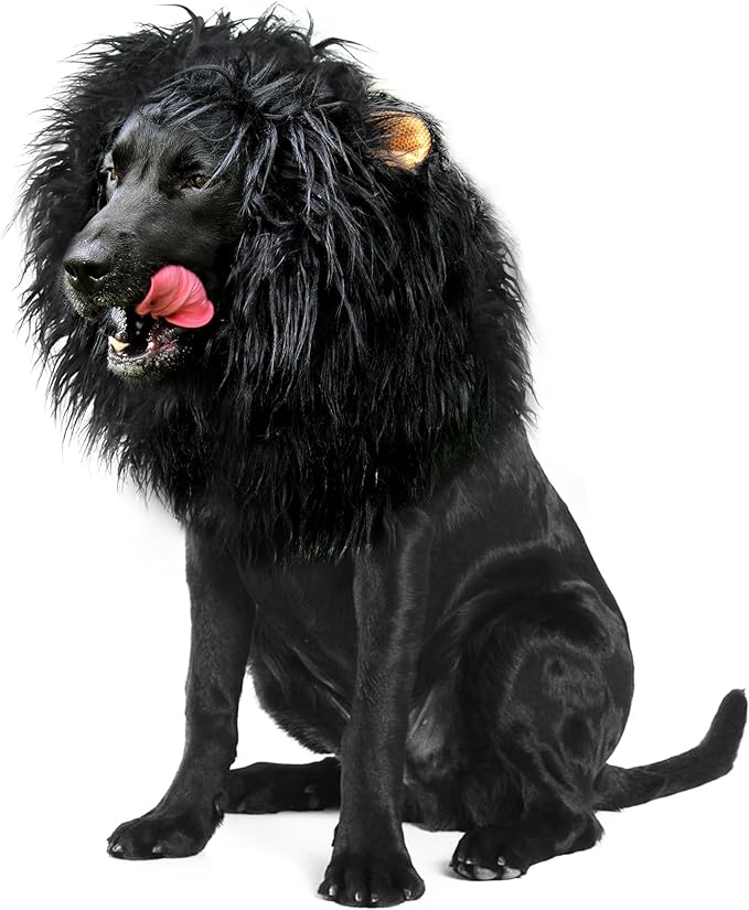 Onmygogo Lion Mane Wig for Dogs with Ears, Funny Pet Costumes for Halloween Christmas (Size L, Black)