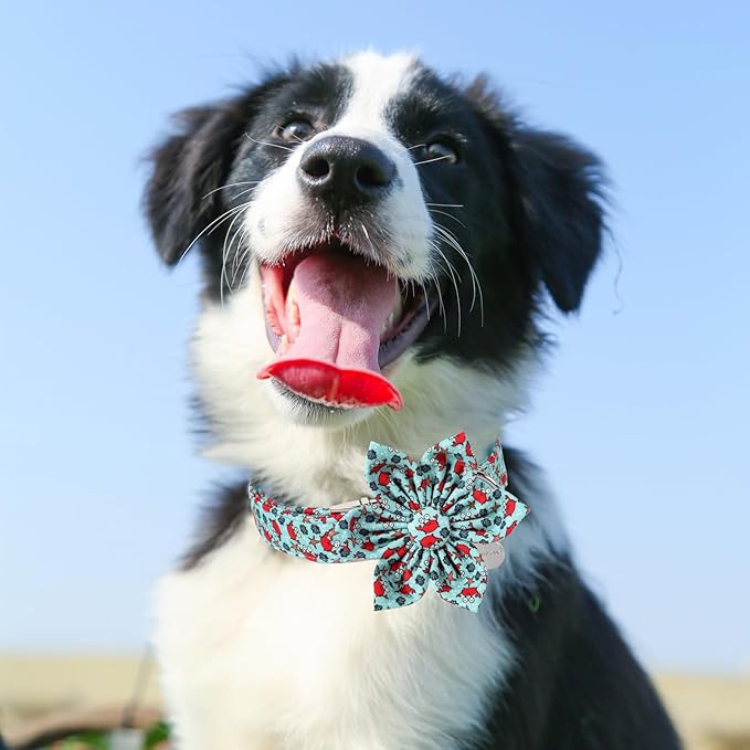 Summer Dog Collar with Flower, Lovely Crab Pattern Dog Bowtie Collar, Detachable Flower Bow Puppy Collar with Adjustable Metal Buckle for Dog and Cats, S