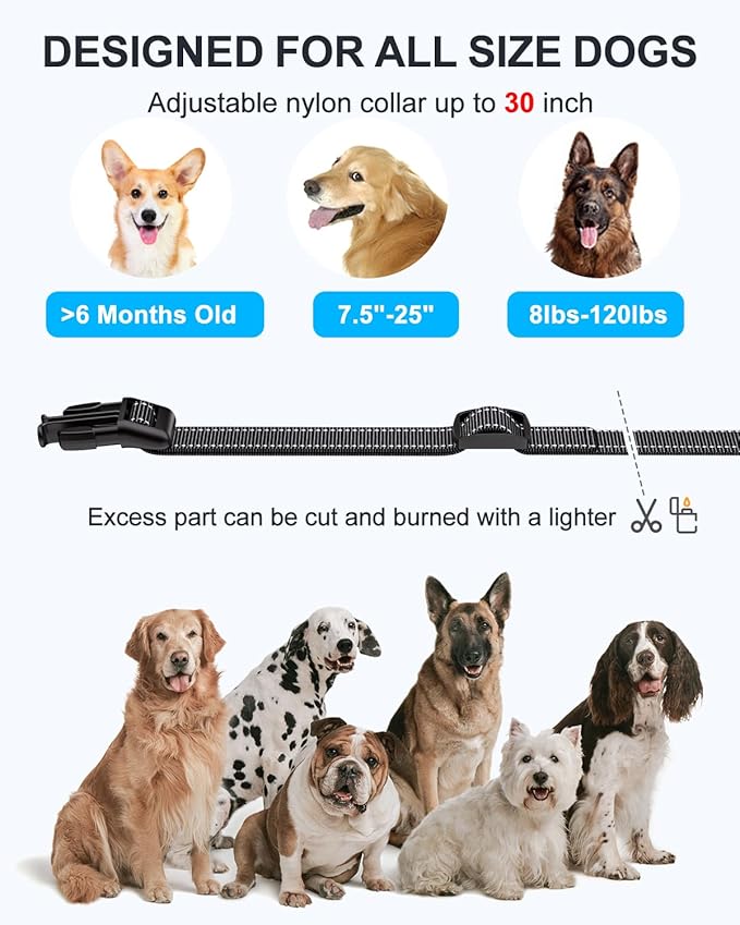 No Shock Dog Training Collar with Remote, Dog Vibration Collar with Controller Beep and Vibrate Only, Safe Lock Waterproof Rechargeable Vibrating Collars for Dogs(10-120 lbs)-No Prongs
