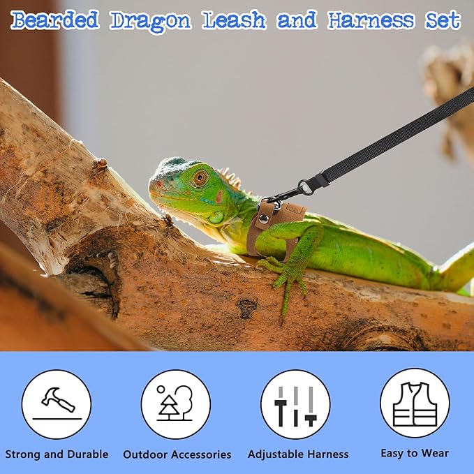 3 Pack Bearded Dragon Harness and Leash, Adjustable Leash and Harness Set with Traction Rope for Lizards and Other Small Reptiles (3 Sizes)