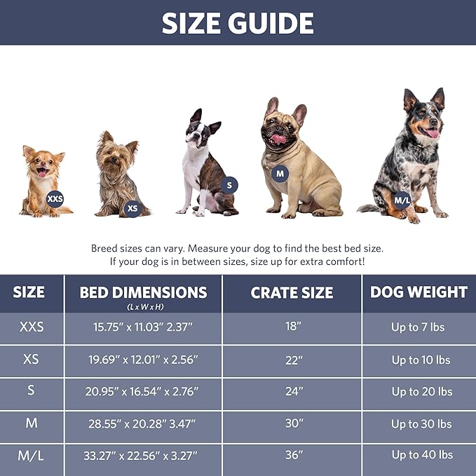 MidWest Homes for Pets Bolster Dog Bed 30L-Inch Blue Dog Bed or Cat Bed w/Comfortable Bolster | Ideal for Medium Dog Breeds & Fits a 30-Inch Dog Crate | Easy Maintenance Machine Wash & Dry