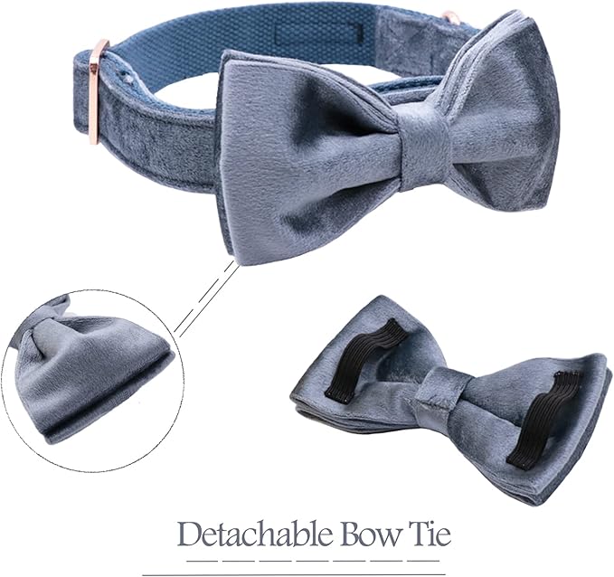 ARING PET Bowtie Dog Collar,Velvet Dog Collars with Detachable Bowtie, Cute &Comfortable Dog Collar, Blue X-Large.