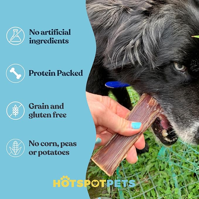 Beef Jerky Dog Treats Esophagus (6 Inches- 20 Pack) - 100% Natural Healthy Chews for Dogs - Meat Jerky Snack, Rich in Glucosamine for Joint Health,All Natural from Grass Fed Cattle