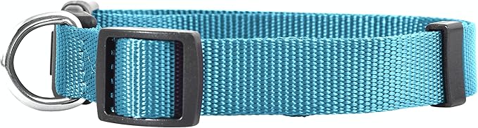 Native Pup Basic Nylon Dog Collar, Adjustable for Small, Medium, Large pet and Puppies Accessories, Cute Colors for Male, Female, boy, Girl, Puppy (Medium, Turquoise)