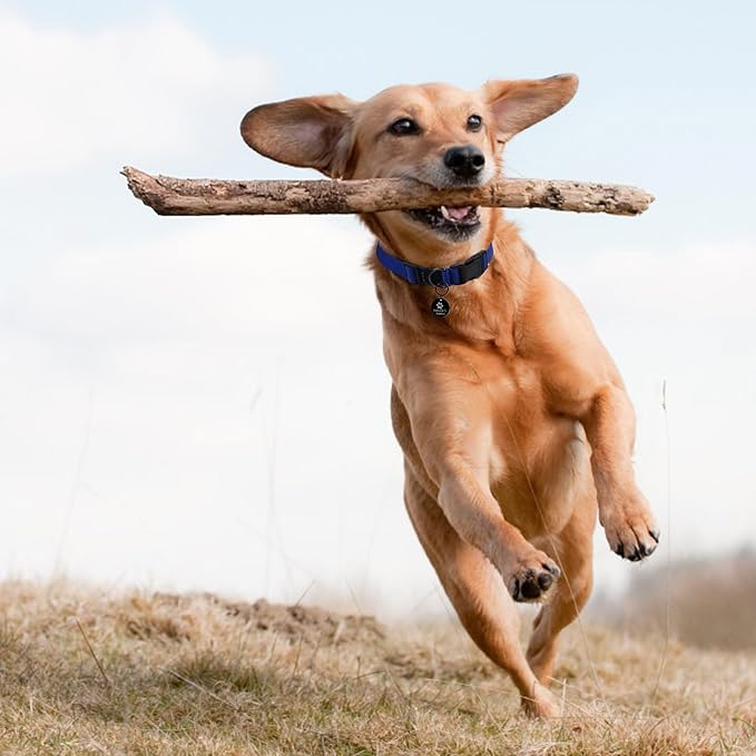 Cotton Soft Dog Collar, Quick Release Dog Collar with Buckle, Heavy-Duty Adjustable Pet Collar for XS Small Medium Large Dog, Colorfast Dog Collars with Removable Tag(M, Blue)
