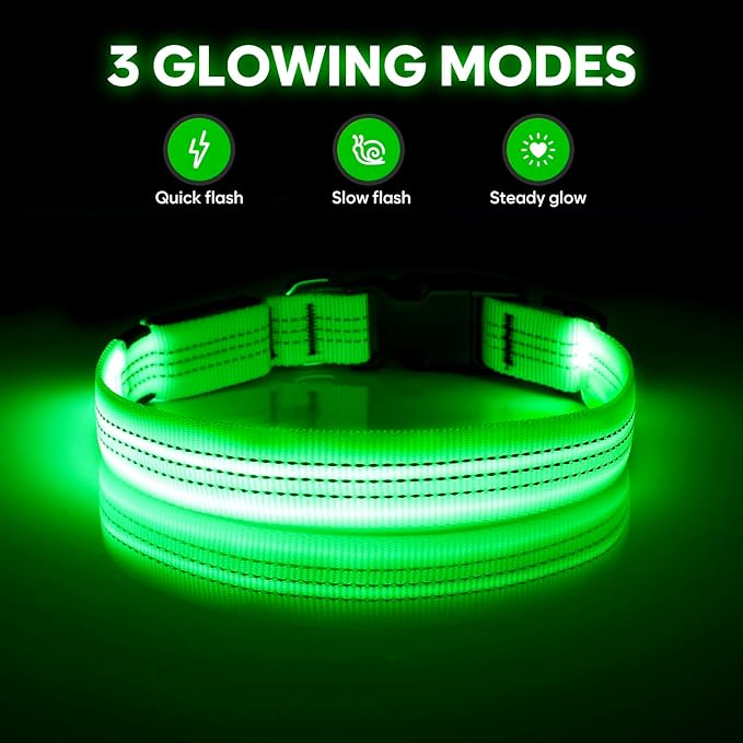 Illumifun Light Up Dog Collar - USB Rechargeable LED Dog Collar, Adjustable Lighted Pet Safety Collar for Night Walking (Greenā
¢, Small)