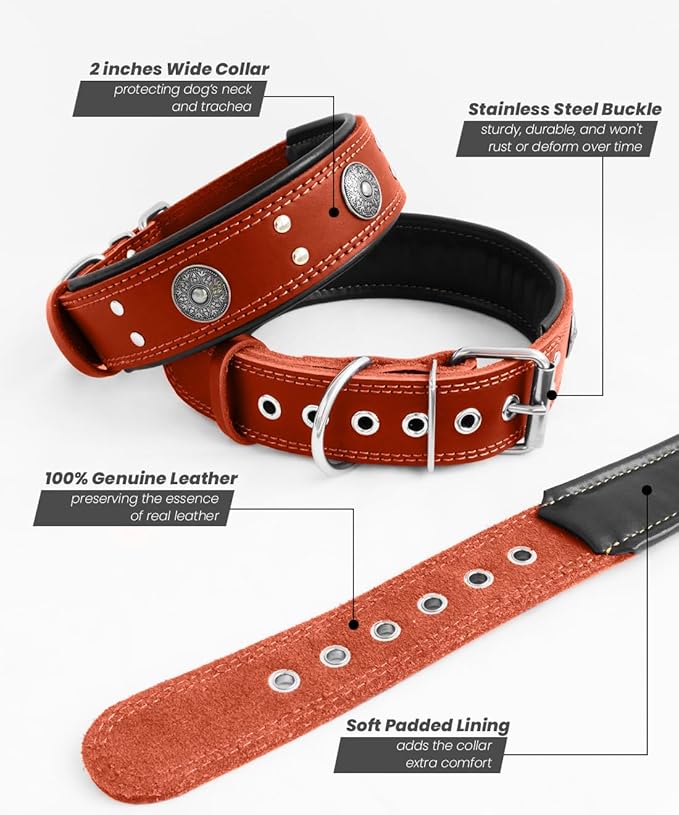 Leather Dog Collar, 2 inches Wide Heavy Duty Genuine Leather Collars, Handmade, Soft, and Luxury, Eye-catching Best Choice for Large and Medium Breed Dogs, Orange 19.5-23.5 inches