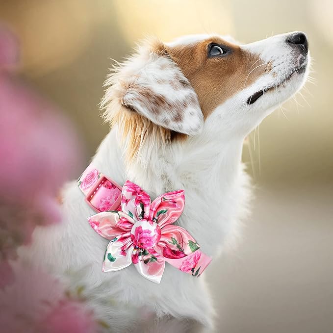 XS Dog Collar Fancy Floral Boy Dog Collar with Sunflower Bowtie Dog Collar for Cute Boy Male Cats Dogs Puppy Collars for Litter