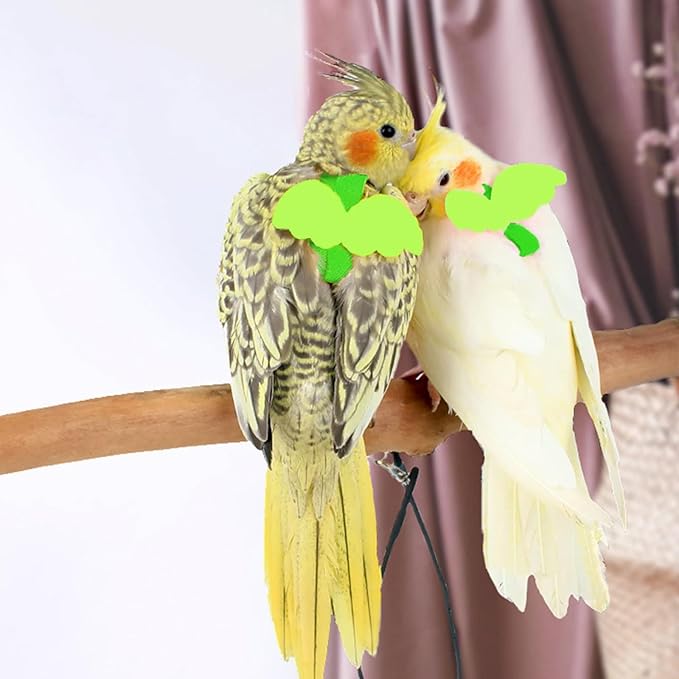 Adjustable Bird Leashes and Harnesses, Bird Nylon Harness with Cute Wing for Parrots, Pet Bird Accessories, Bird Leash for Hang Out, Suitable for Cockatiel, Quaker, Amazon Parrot and Same Size Birds