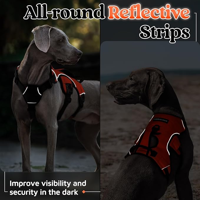 rabbitgoo Escape Proof Dog Harness, Soft Padded Full Body Pet Harness, Reflective Adjustable No Pull Vest with Lift Handle and Leash Clip for Large Dogs Walking Hiking Training, L, Orange