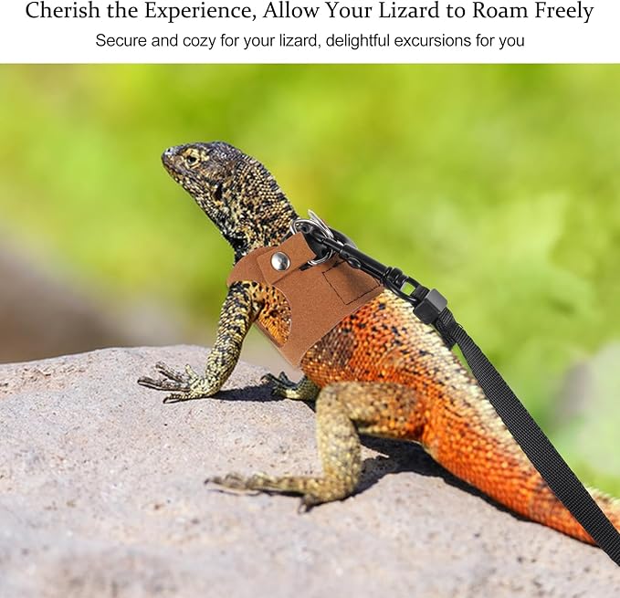3Pcs Bearded Dragon Leash and Harness Set, Adjustable Lizard Leash Soft Small Animal Traction Rope, Vest Accessories for Squirrel Rat, Gecko, Bearded Dragon