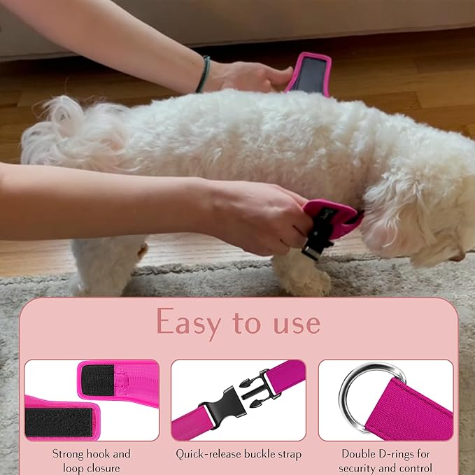 Comfort fit Step-in Dog & Puppy Harness - Comfortable All Weather Dog Vest Harness: Adjustable, Soft Padded, Easy to Put-on for Small, Medium-Sized Dogs.