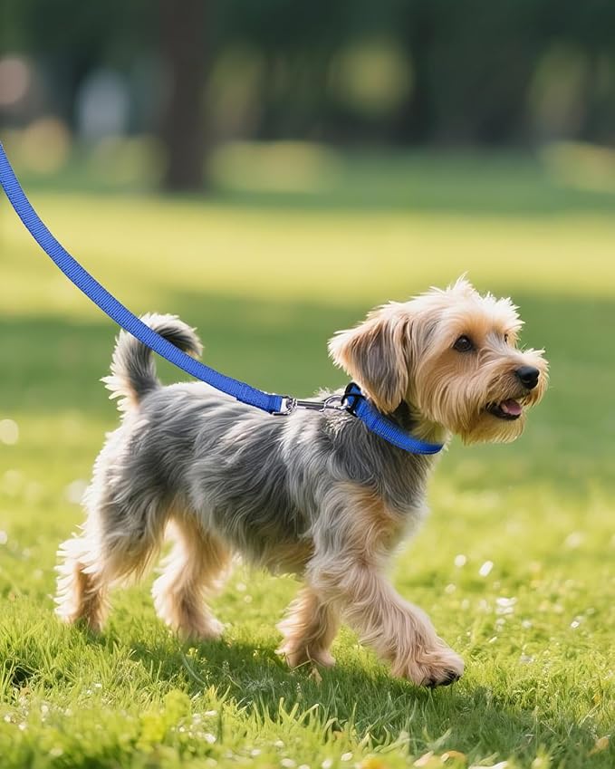 Joytale Small Dog Collar, Reflective and Adjustable Nylon Collar with Quick-Release Buckle, Lightweight No-Choke Design for Small Dogs, Navy Blue, 3/4" Width