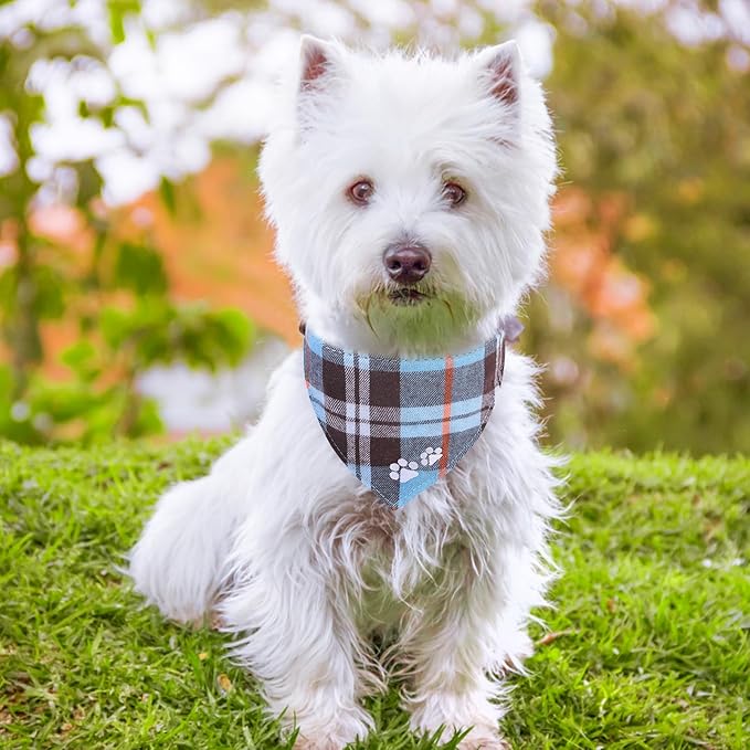 EXPAWLORER Puppy Collar and Leash Set - Plaid Dog Collar with Bell, Adjustable for Small Dogs Cats, SkyBlue X-Small