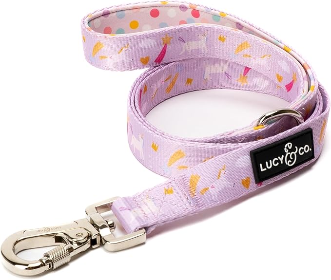 Lucy & Co. 5 Foot Dog Leash - Best Designer Dog Leash - Unicorn Magic, Small