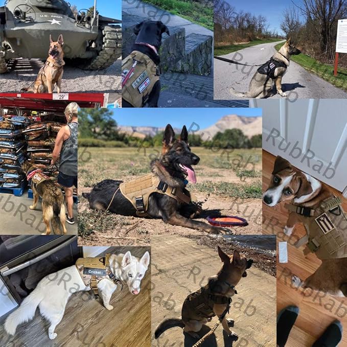 Tactical Dog Harness Vest with Handle Military Working Training Molle Vest with Metal Buckles & Loop Panels for Large Dogs for Walking Hiking Hunting Training Free Bungee Dog Leash (Brown XL)