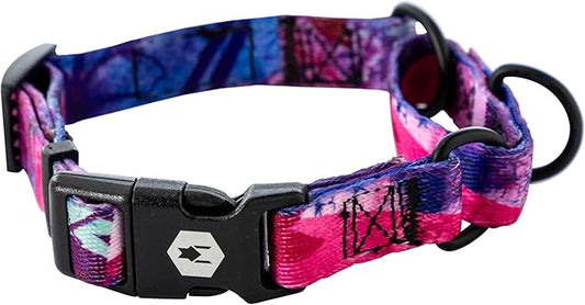 Wolfgang Heavy Duty Martingale Dog Collar with Quick Release Nylon Buckle for Walking & Training, Daydream Print, Extra Large