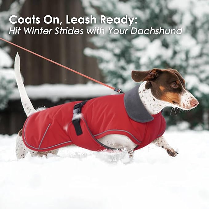 Dachshund Coat Warm Winter Dog Coat - Red, Medium - Dachshund Jacket with Fleece Lining, Waterproof Dog Coat Christmas Dachshund Snowsuit with Harness Hole and Adjustable Buckle Closure