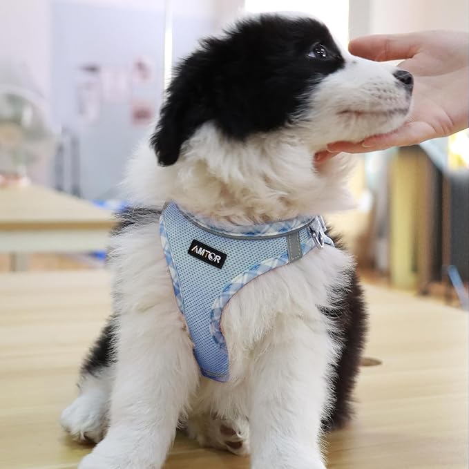AMTOR Small Dog Harness with Leash Set, No Escape Easy Walk Puppy Harnesses for Training Walking, Step-in Reflective Soft Dogs Vest for XS S Medium Extra-Small Large Sized Dog(S Size,Blue/White)