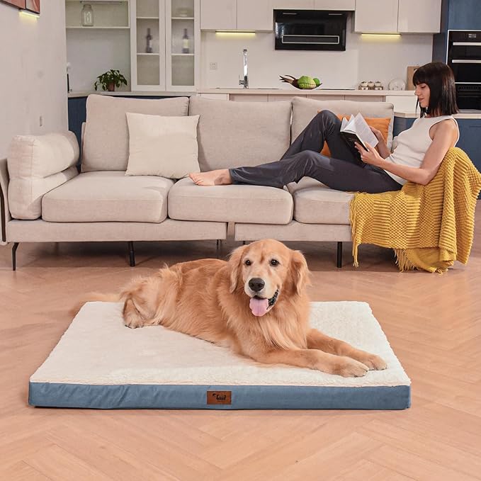 XL Dog Bed for Large Dogs, Egg Crate Foam with Removable Washable Oxford Cooling Cover, Blue White