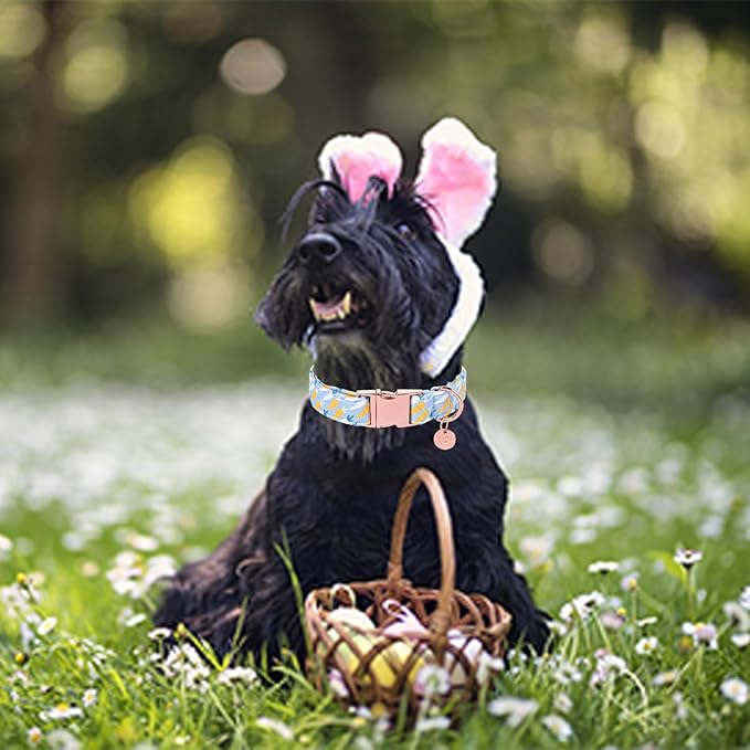 Easter Dog Collar, Cotton Easter Egg Collar for Puppy Girl Boy Dog or Cat, Easter Gift Rabbit Dog Collar, Cute Carrot Pet Dog Collar with Metal Buckle, XL