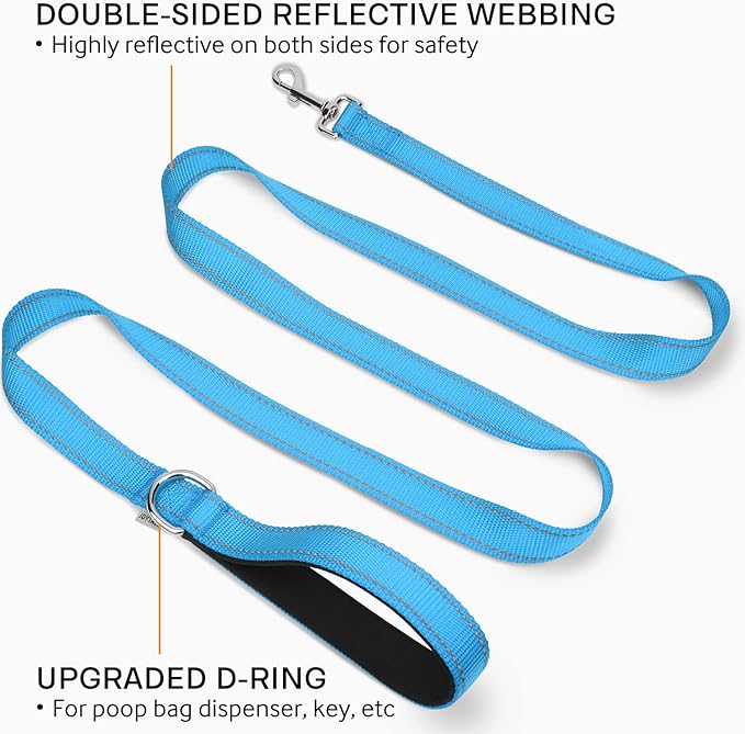 Joytale Double-Sided Reflective Dog Leash, 6 FT/5 FT/4 FT, Padded Handle Nylon Heavy Duty Leashes for Small & Medium Dogs Walking, Sky Blue, 6FT