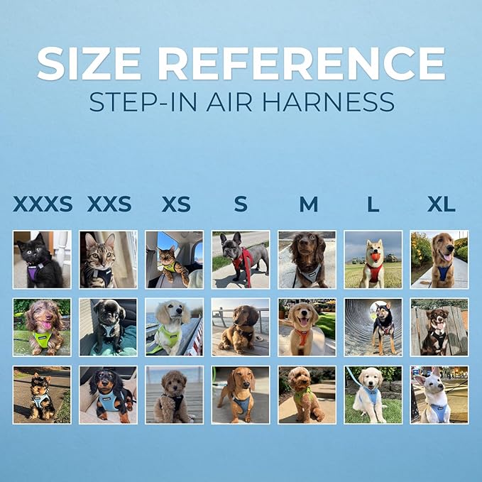 Voyager Step-in Air All Weather Mesh Harness and Reflective Dog 5 ft Leash Combo with Neoprene Handle, for Small, Medium and Large Breed Puppies by Best Pet Supplies - Set (Lime Green), L