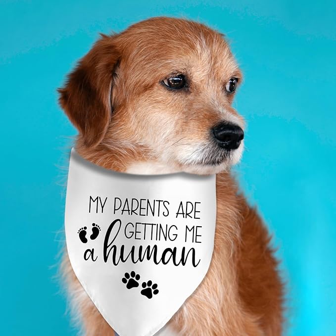 My Parents are Getting Me a Human Dog Pregnancy Announcement Bandana Pregnancy Dog Bandana for Dogs Pet Accessories for Dog Lovers Pregnancy Reveal Ideas