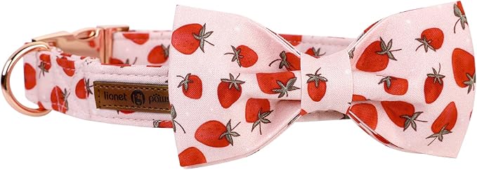 Lionet Paws Dog Collar with Bowtie - Summer Cute Cotton Adjustable Bowtie Dog Collar with Metal Buckle for Medium Dog Girl Boy, M, Neck 13.5-22in