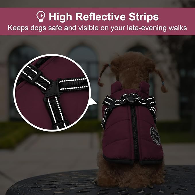 Warm Winter Coat for Dogs, Fashionable Sports Jacket with Built-in Harness, Reflective & Adjustable Pet Vest, Waterproof Windproof Apparel for Small Dogs (Purple)