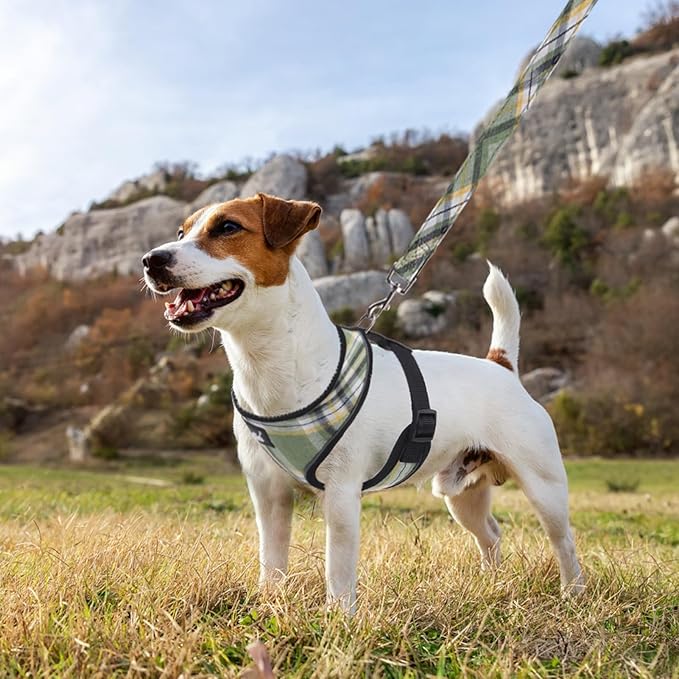 PUPTECK Soft Mesh Dog Harness and Leash Set Pet Puppy Cat Comfort Padded Vest No Pull Harnesses, Green/Yellow, M