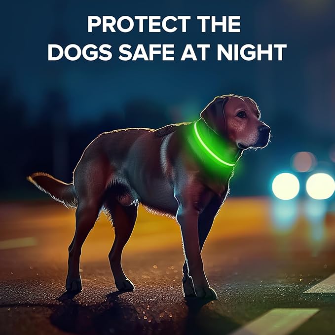 Led Dog Collar for Night Walking,Rechargeable Light Up Dog Collar Led Color,Glow in The Dark Dog Collars Waterproof for Small Medium Large Dogs (Green, Medium)