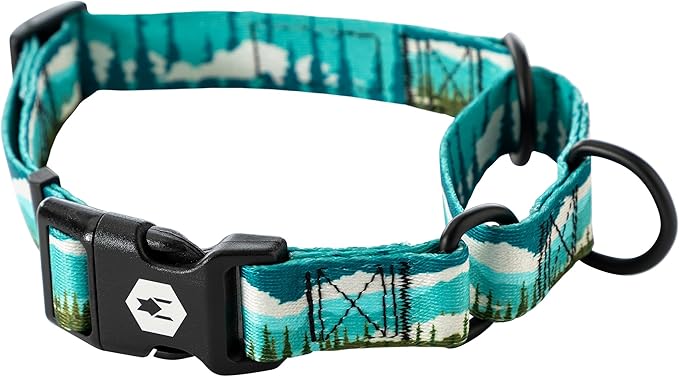 Wolfgang Heavy Duty Martingale Dog Collar with Quick Release Nylon Buckle for Walking & Training, GreatEscape Print, Small