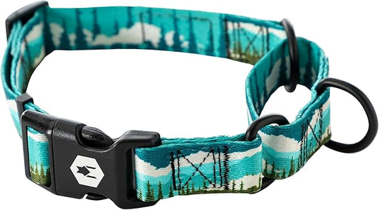 Wolfgang Heavy Duty Martingale Dog Collar with Quick Release Nylon Buckle for Walking & Training, GreatEscape Print, Small