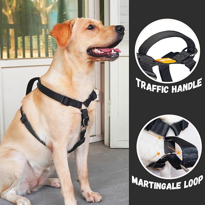 DF Martingale No Pull Dog Harness and Two Point Control Training Leash for Dog Walking Only Works with Martingale Harnesses, Black, Chest 19"-22"