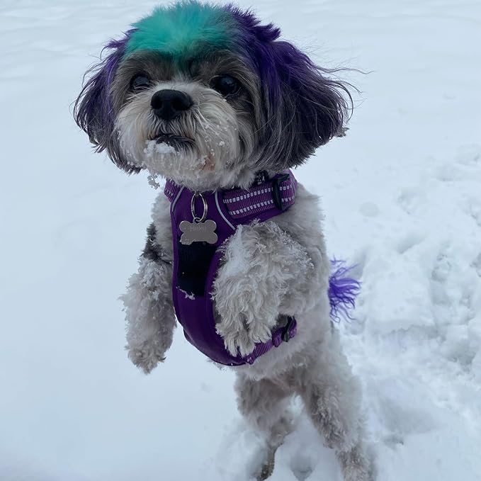 Dog Harness Dual Leash Attachment No-Pull Control Adjustable Soft but Strong Pet Harness for Medium and Large Dogs with 3M Reflective Technology - Harness Leash Set (Purple Lattice), M