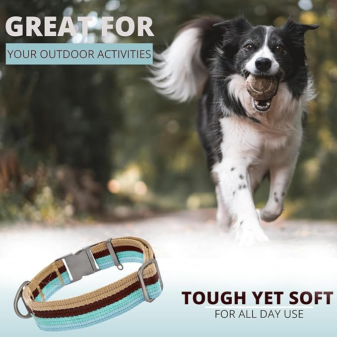 ADITYNA Cotton Dog Collar with AirTag Holder - Heavy-Duty Metal Buckle, Breathable, Easy Adjustable for Medium & Large Breeds - for Walking, Training (Ocean Breeze, Fits 15-21" Necks)