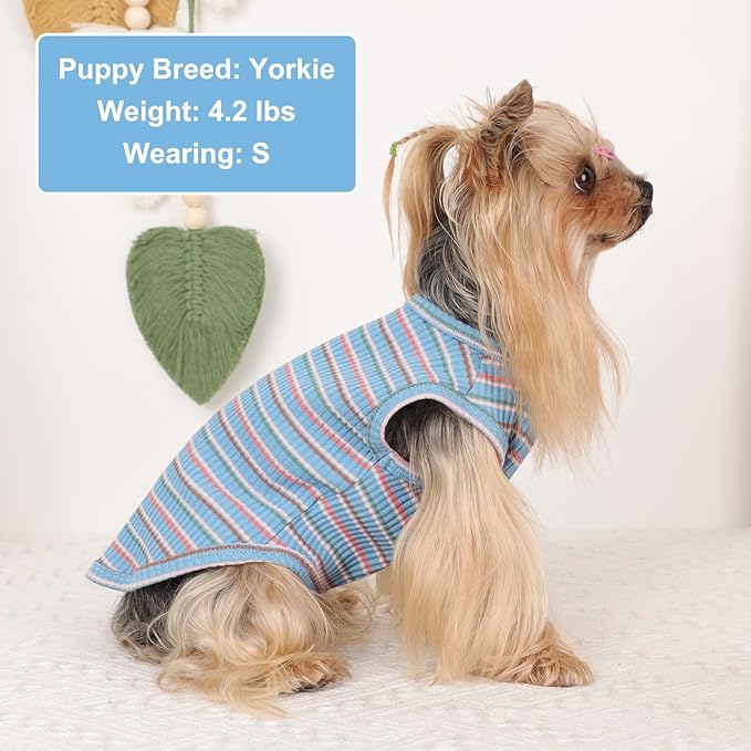 2Pack Dog Shirts for Small Dogs Girl Boy Striped Dog Shirt Vest Soft Stretchy Puppy Clothes Sleeveless Colorful Sweatshirt Small Puppy Outfit for Chihuahua Yorkie, Black+Blue, S