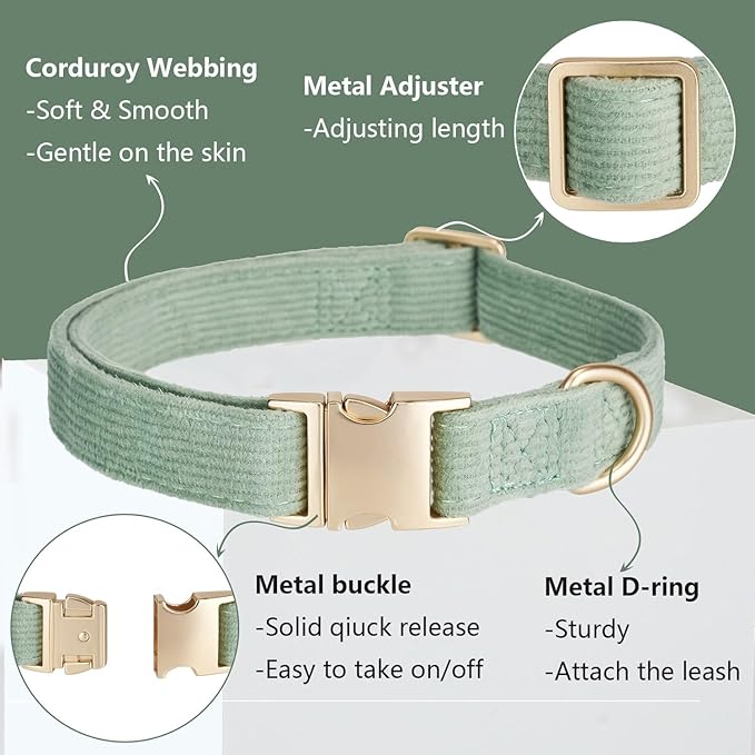 Soft Corduroy Dog Collar and Leash Set, Adjustable Cotton Dog Collars with Metal Buckle and Lead for Medium Dogs,Grass Green