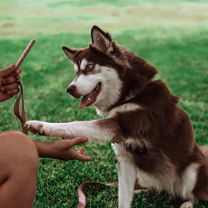 Sweet Potato & Quinoa Superfood Sticks for Dogs | Premium Training Treats | with Turmeric for Joint Health | Made with Real Sweet Potato & Quinoa | Made in USA | 10 Ounces