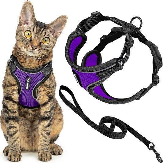 Voyager Escape Proof Cat Harness and Leash set with Reflective Stitching, Neoprene Handle 5ft - Supports Small, Medium and Large Cats, Kittens for walking by Best Pet Supplies - Black Trim-Purple, XXS
