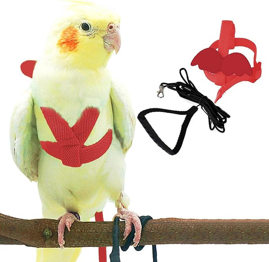 Dnoifne Pet Parrot Bird Harness and Leash, Adjustable Training Design Anti-Bite, Bird Nylon Rope with Cute Wing for Parrots, Suitable for Scarlet, Keck, Mini Macaw and Same Size Birds (red)